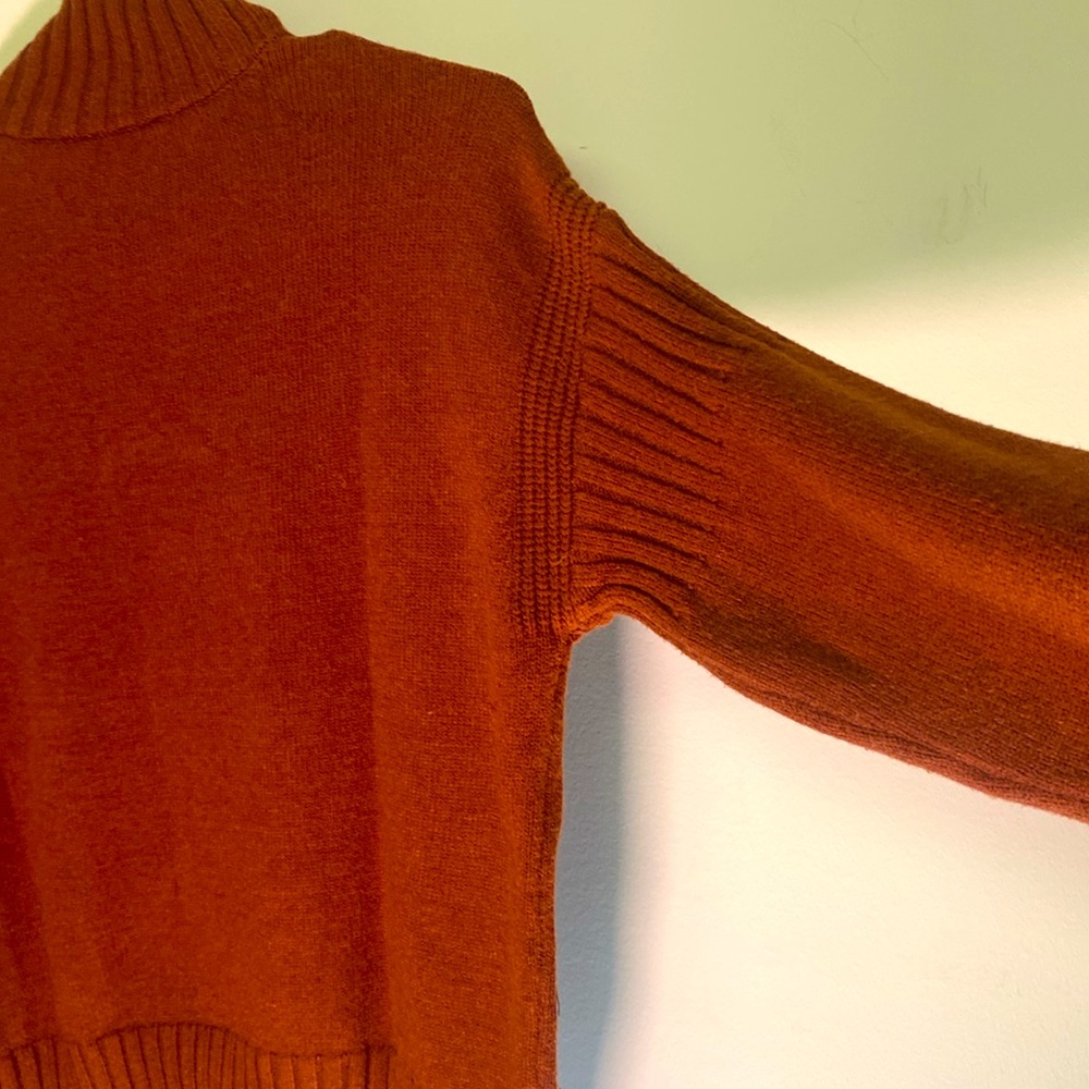 Cyrus Soft Knit Sweater in Pumpkin Rust-Ribbed Mock Turtleneck. - Picture 4 of 5